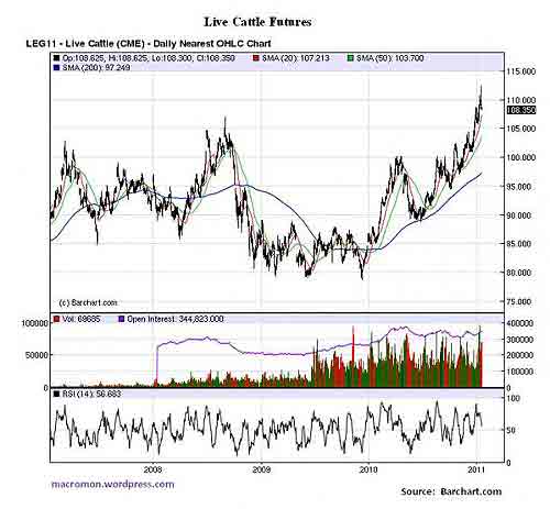 livecattle1-19.jpg